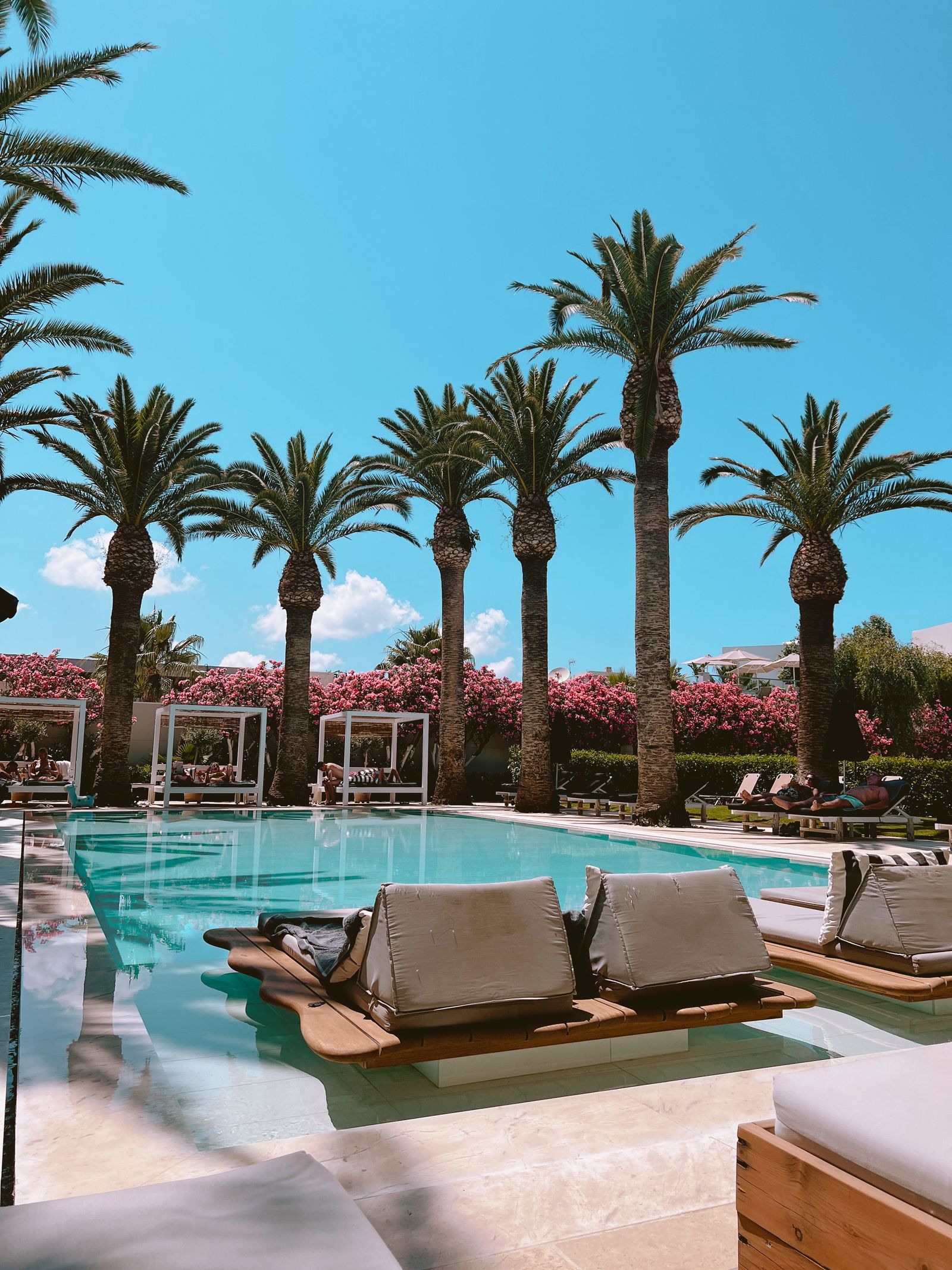 Resort pool framed by palms and flowering gardens